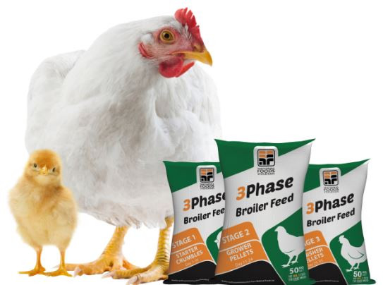Best Broiler Feed in Zimbabwe